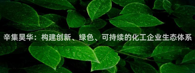 球盟会app网址多少：辛集昊华：构建创新、绿色、可持续的化工
