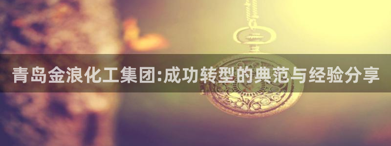 球盟会优惠券：青岛金浪化工集团:成功转型的典范与经验分享