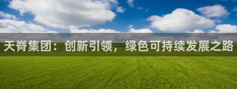 球盟会在线登入：天脊集团：创新引领，绿色可持续发展之路