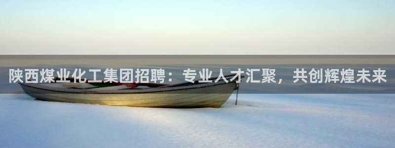 球盟会官方登录平台：陕西煤业化工集团招聘：专业人才汇聚，共创