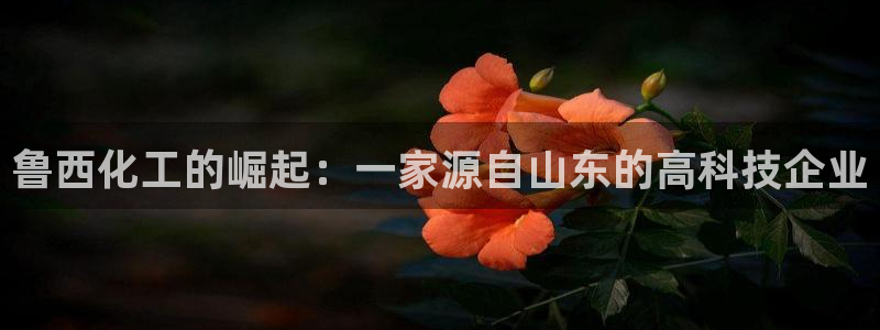 球盟会官方网址入口：鲁西化工的崛起：一家源自山东的高科技企业