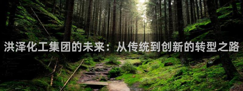 球盟会在线官网：洪泽化工集团的未来：从传统到创新的转型之路