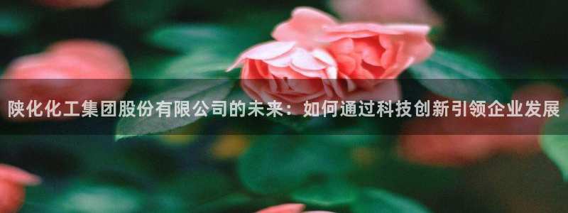 球盟会官方登录平台入口：陕化化工集团股份有限公司的未来：如何