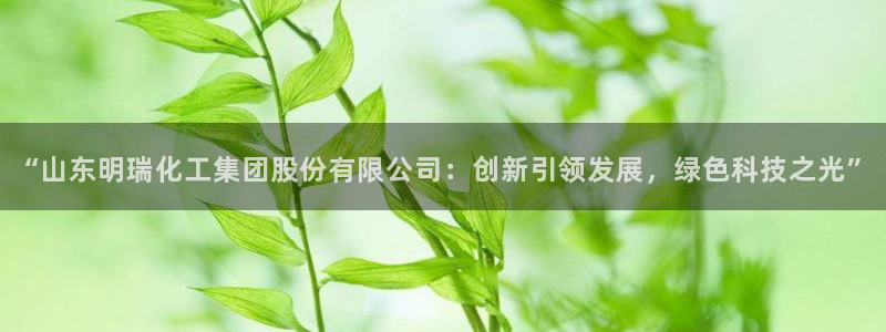 球盟会电子好下吗：“山东明瑞化工集团股份有限公司：创新引领发