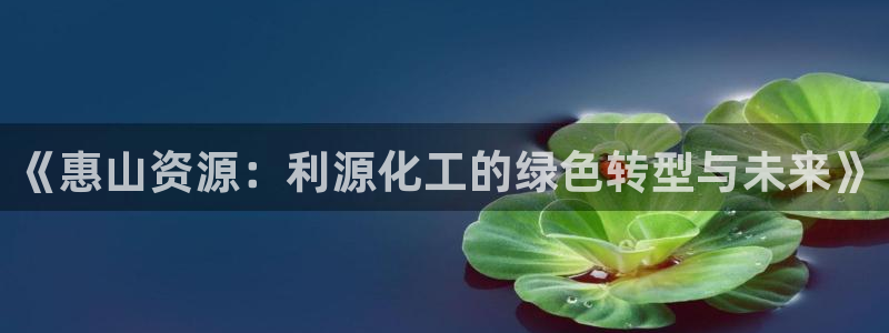 球盟会app最新地址在哪找：《惠山资源：利源化工的绿色转型与