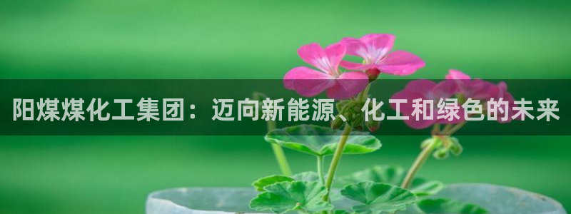 球盟会能提现吗安全吗：阳煤煤化工集团：迈向新能源、化工和绿色