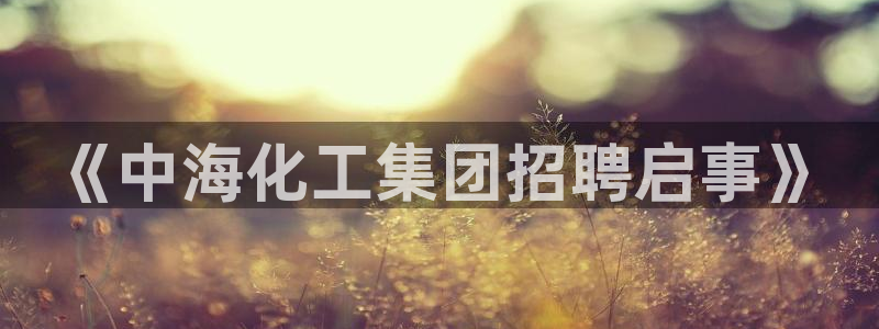 球盟会最新活动：《中海化工集团招聘启事》