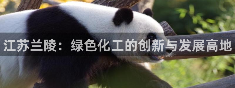 球盟会官方版下载地址：江苏兰陵：绿色化工的创新与发展高地