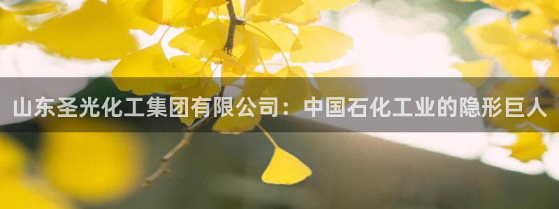 球盟会可以提现么：山东圣光化工集团有限公司：中国石化工业的隐