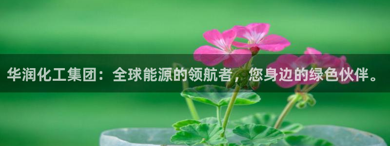 球盟会APP官网：华润化工集团：全球能源的领航者，您身边的绿