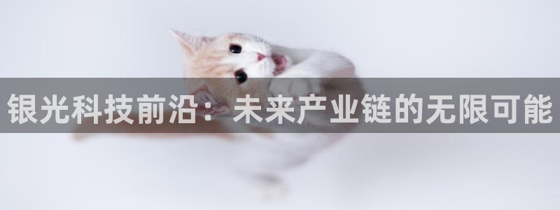 球盟会官方平台入口：银光科技前沿：未来产业链的无限可能