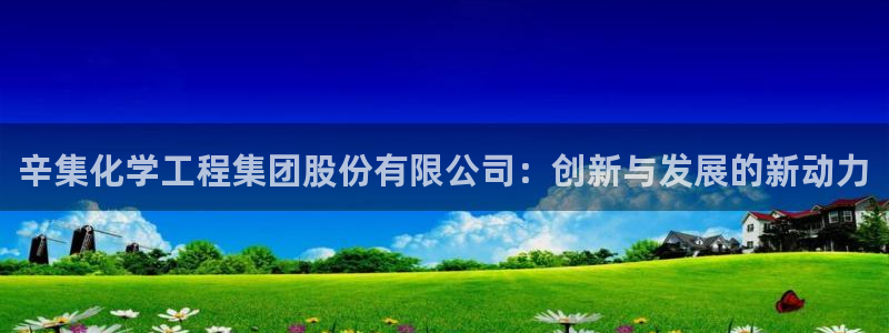 球盟会官方网页登录：辛集化学工程集团股份有限公司：创新与发展