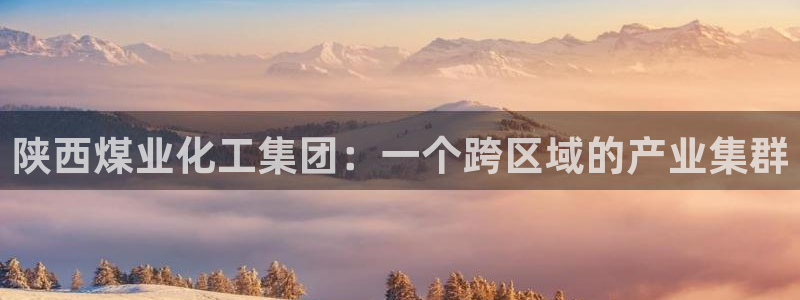 球盟会黑钱：陕西煤业化工集团：一个跨区域的产业集群