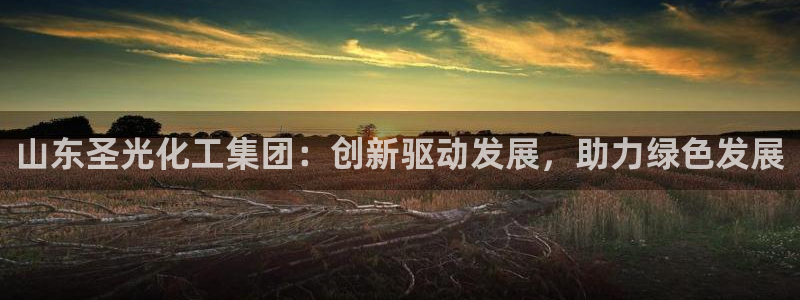 球盟会入口：山东圣光化工集团：创新驱动发展，助力绿色发展