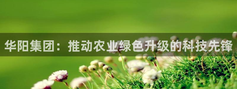 球盟会官方网入口：华阳集团：推动农业绿色升级的科技先锋