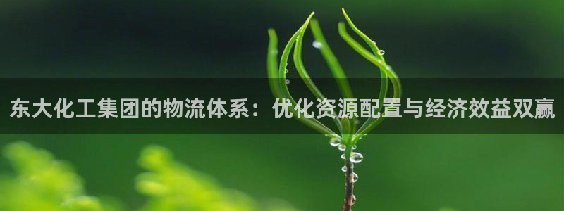 球盟会qm9：东大化工集团的物流体系：优化资源配置与经济效益
