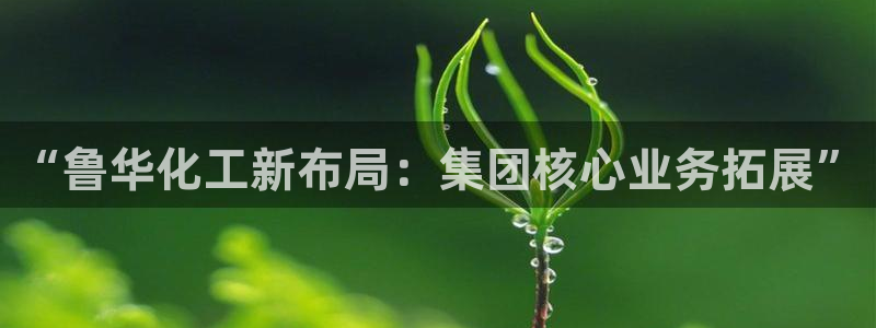 球盟会平台怎么样：“鲁华化工新布局：集团核心业务拓展”