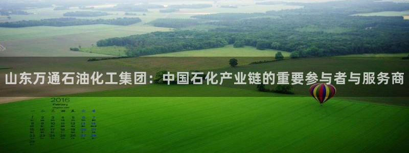 球盟会黑款吗还是白款：山东万通石油化工集团：中国石化产业链的