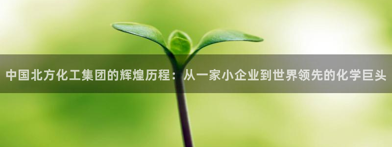 球盟会电子游戏平台：中国北方化工集团的辉煌历程：从一家小企业