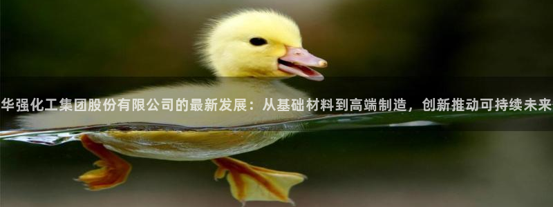 球盟会APP下载：华强化工集团股份有限公司的最新发展：从基础