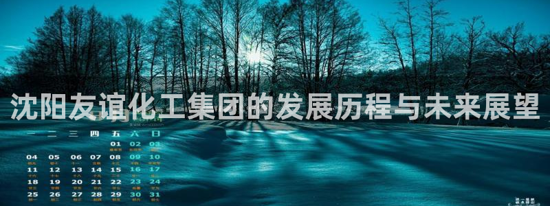 球盟会网址多少：沈阳友谊化工集团的发展历程与未来展望