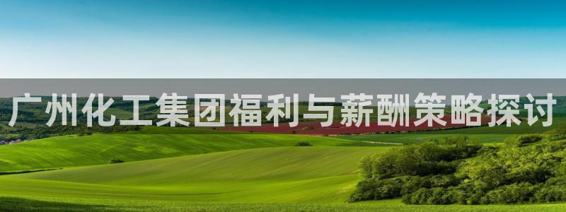 球盟会在线登录官网：广州化工集团福利与薪酬策略探讨