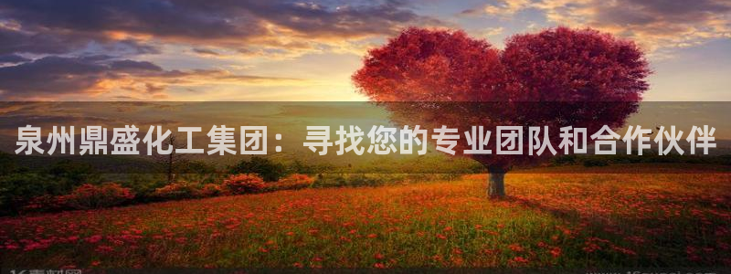 球盟会登录平台入口：泉州鼎盛化工集团：寻找您的专业团队和合作