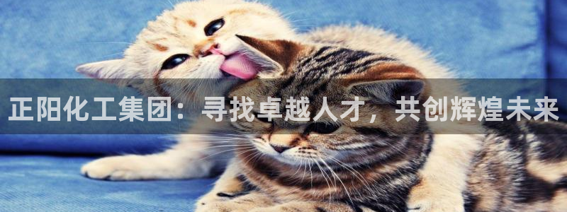 球盟会下款快吗：正阳化工集团：寻找卓越人才，共创辉煌未来