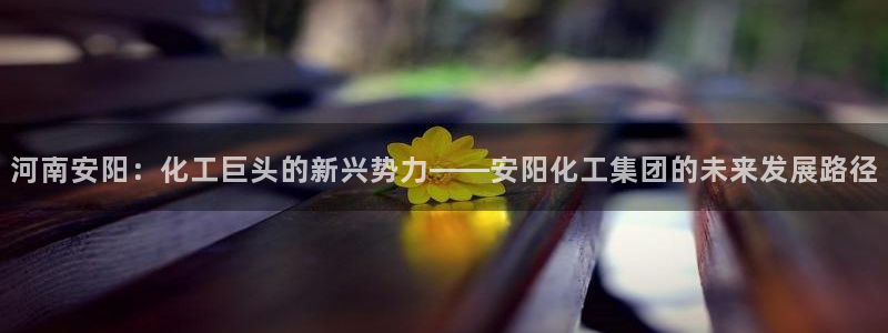球盟会登陆入口：河南安阳：化工巨头的新兴势力——安阳化工集团
