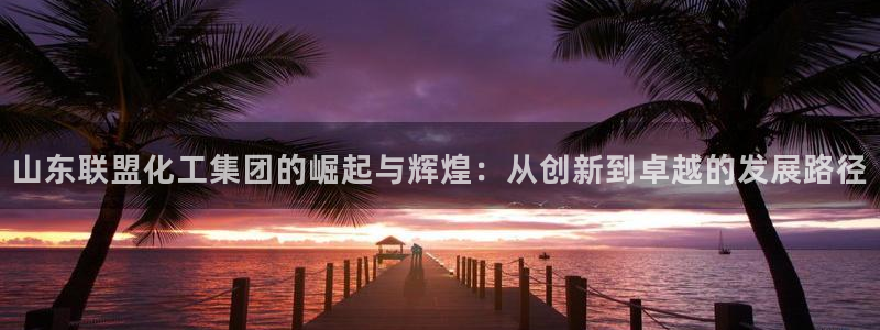 球盟会有没有黑单的活动：山东联盟化工集团的崛起与辉煌：从创新