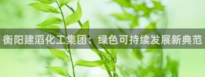 球盟会官方入口：衡阳建滔化工集团：绿色可持续发展新典范