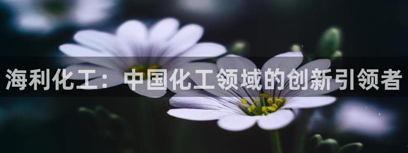球盟会app最新地址在哪：海利化工：中国化工领域的创新引领者
