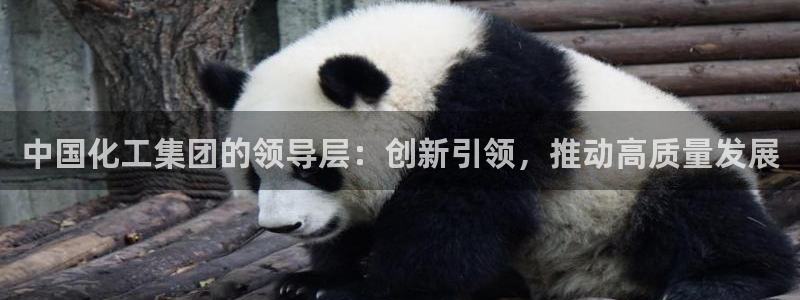 球盟会在线登录官网：中国化工集团的领导层：创新引领，推动高质