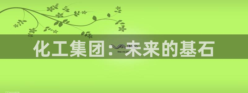 球盟会入口：化工集团：未来的基石