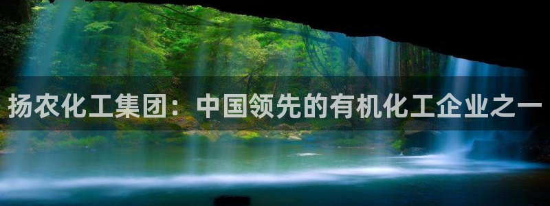 球盟会官方网站：扬农化工集团：中国领先的有机化工企业之一