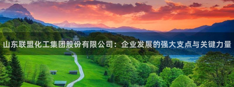 球盟会：山东联盟化工集团股份有限公司：企业发展的强大支点与关