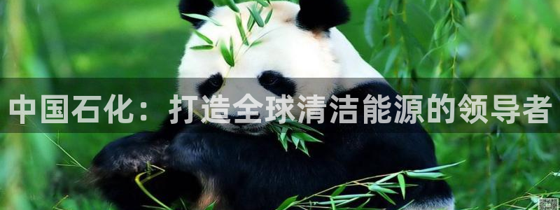 球盟会qmh网页版登录 - qm球盟会官方网站：中国石化：打
