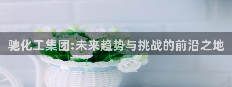 球盟会app：驰化工集团:未来趋势与挑战的前沿之地