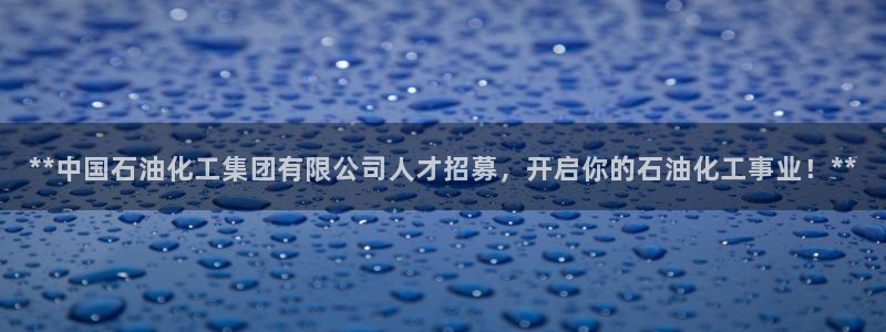 球盟会qm