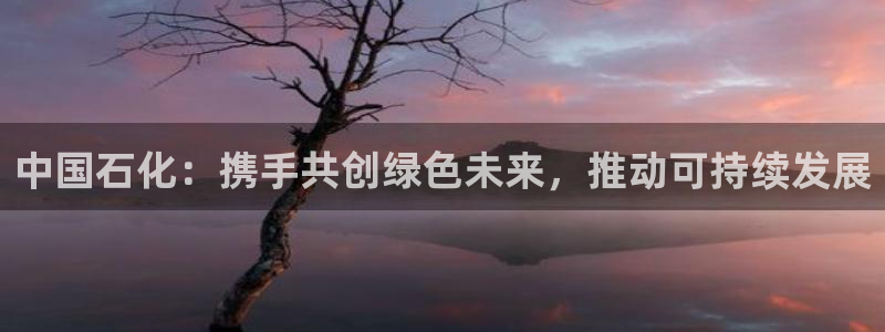 球盟会用的客服聊天是哪个软件：中国石化：携手共创绿色未来，推