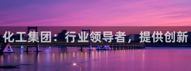 球盟会黑钱：化工集团：行业领导者，提供创