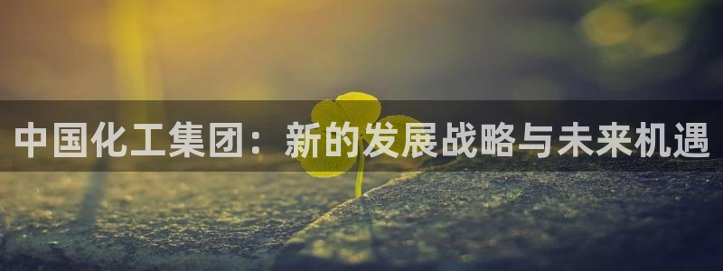 球盟会体验金：中国化工集团：新的发展战略