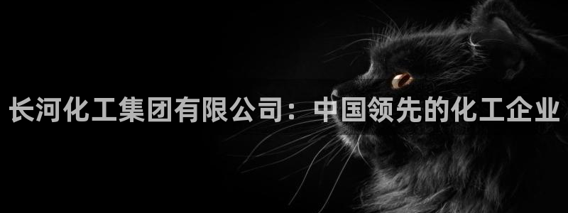 球盟会贴吧：长河化工集团有限公司：中国领