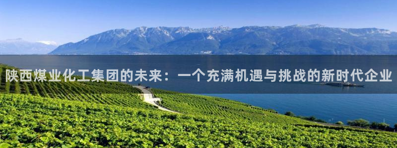 球盟会APP最新地址：陕西煤业化工集团的