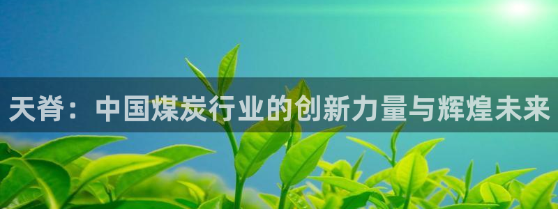 球盟会app最新地址在哪找：天脊：中国煤