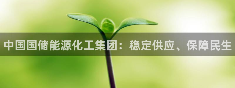 球盟会登录入口：中国国储能源化工集团：稳