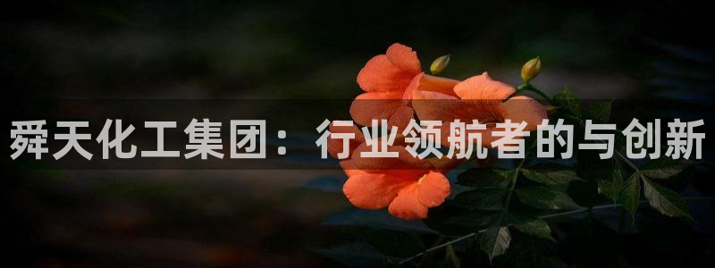 球盟会官方网站app