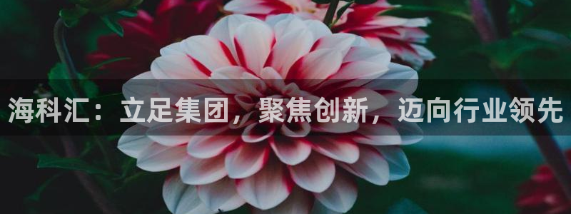 球盟会平台怎么样