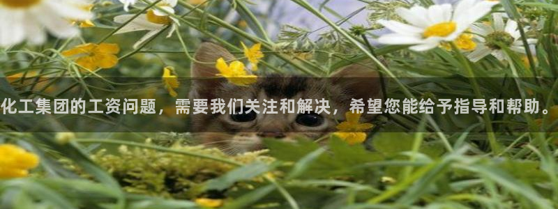 球盟会体验金球奖吗