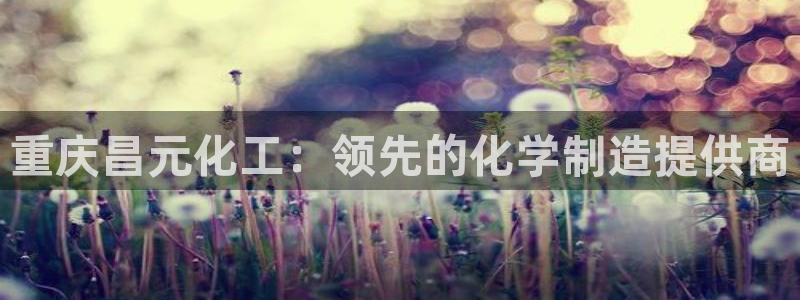 球盟会官方网站是什么：重庆昌元化工：领先的化学制造提供商